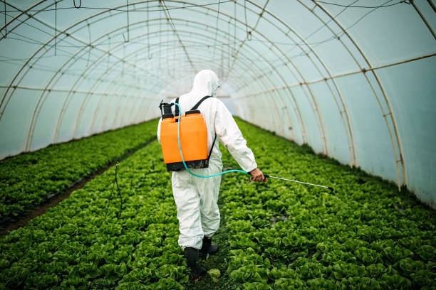 Best Pest Control Near Me  in Orange Park, FL