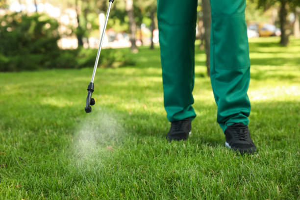 Best Pest Prevention Services  in Orange Park, FL