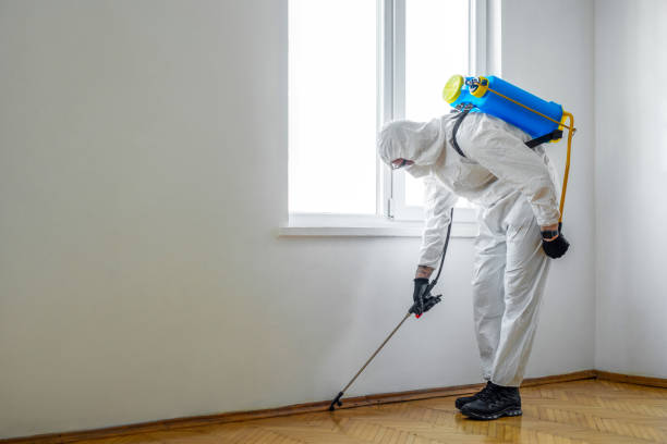Best Ant Control Services  in Orange Park, FL