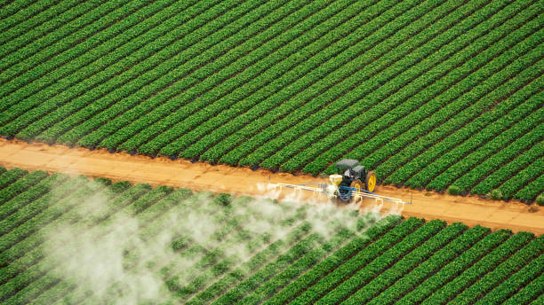 Best Pest Control for Businesses  in Orange Park, FL