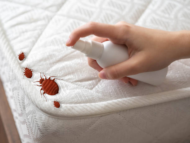 Best Pest Removal Services  in Orange Park, FL