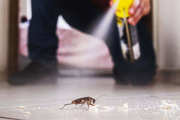 Wildlife Control Services in Orange Park, FL