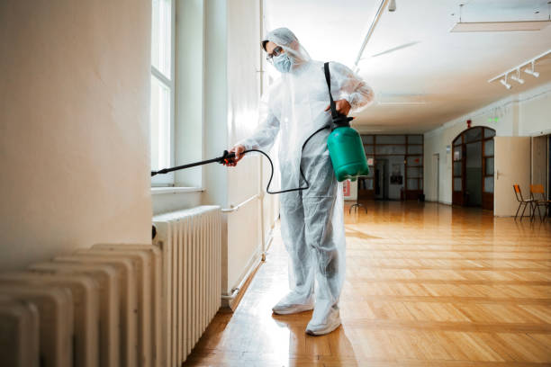 Best Wasp Removal Services  in Orange Park, FL